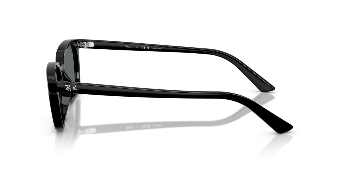 Ray-Ban Zaya RB4456 667781 50 Black / Dark Grey Polar
