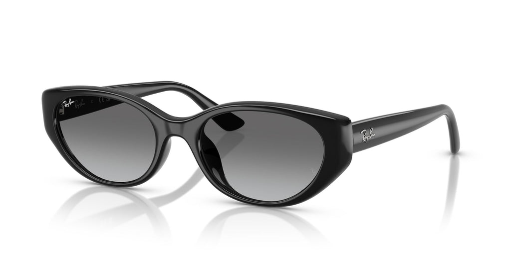 Ray-Ban  RB4457D 667711 55 Black / Grey Gradient