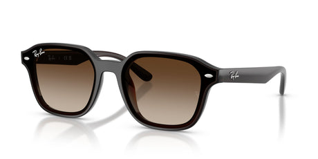 Ray-Ban  RB4458D 714/13 65 Transparent Dark Brown / Gradient Brown