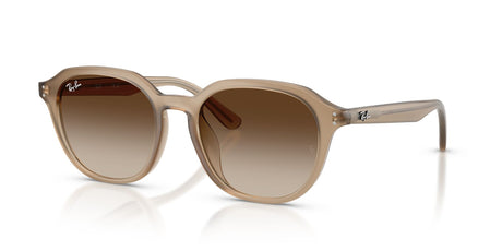 Ray-Ban  RB4459D 616613 54 Turtledove / Gradient Brown
