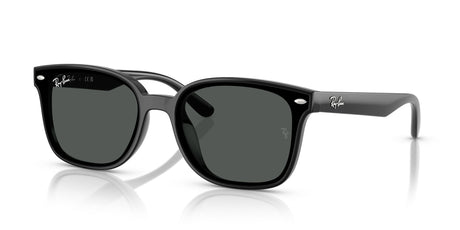 Ray-Ban  RB4461D 601/87 64 Black / Dark Grey