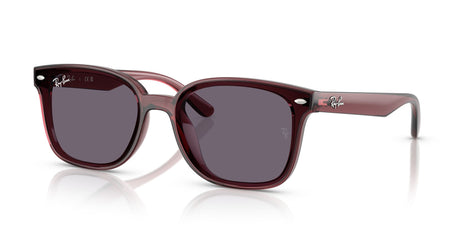 Ray-Ban  RB4461D 659373 64 Transparent Dark Brown / Violet