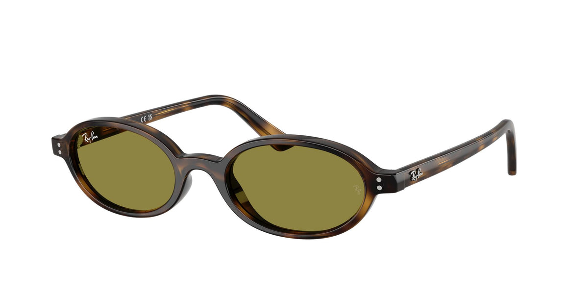Ray-Ban 0RB44721359248 Havana/ Green