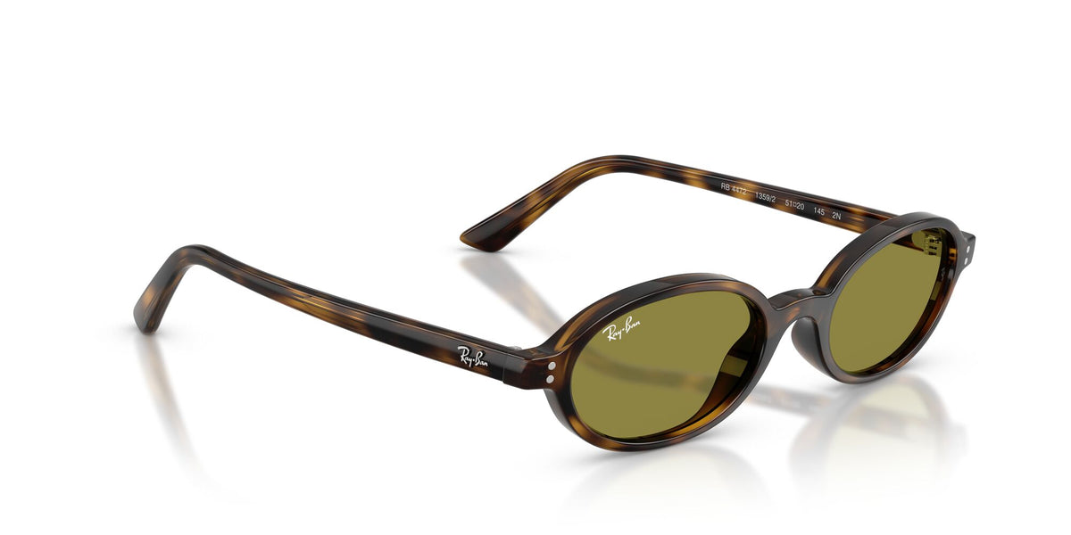 Ray-Ban 0RB44721359248 Havana/ Green