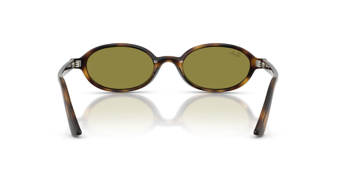 Ray-Ban 0RB44721359248 Havana/ Green