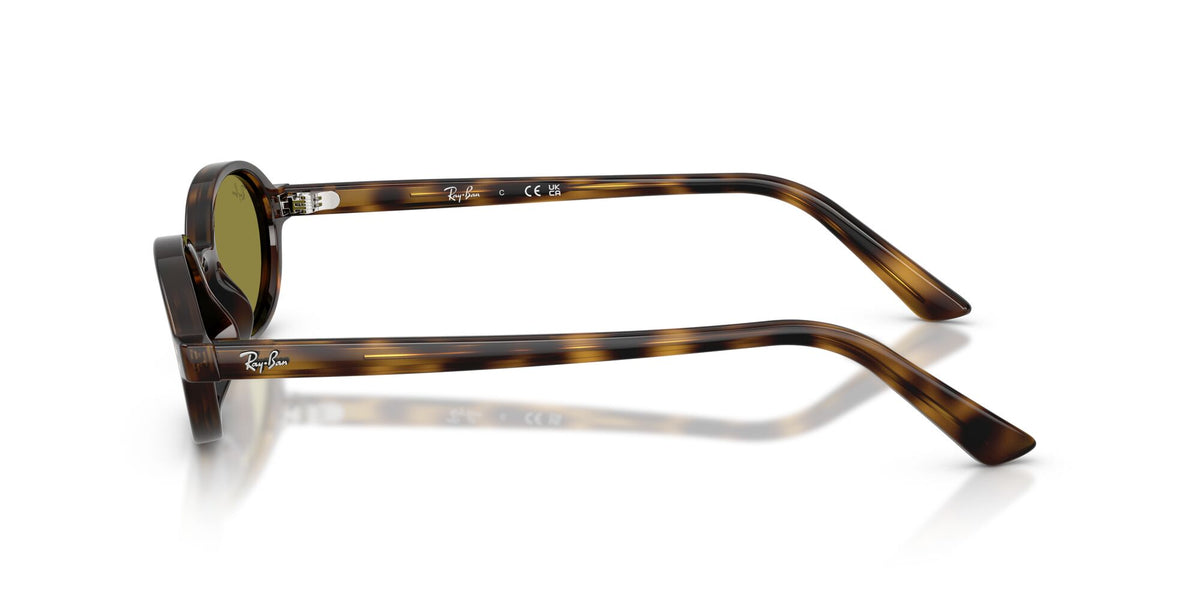 Ray-Ban 0RB44721359248 Havana/ Green