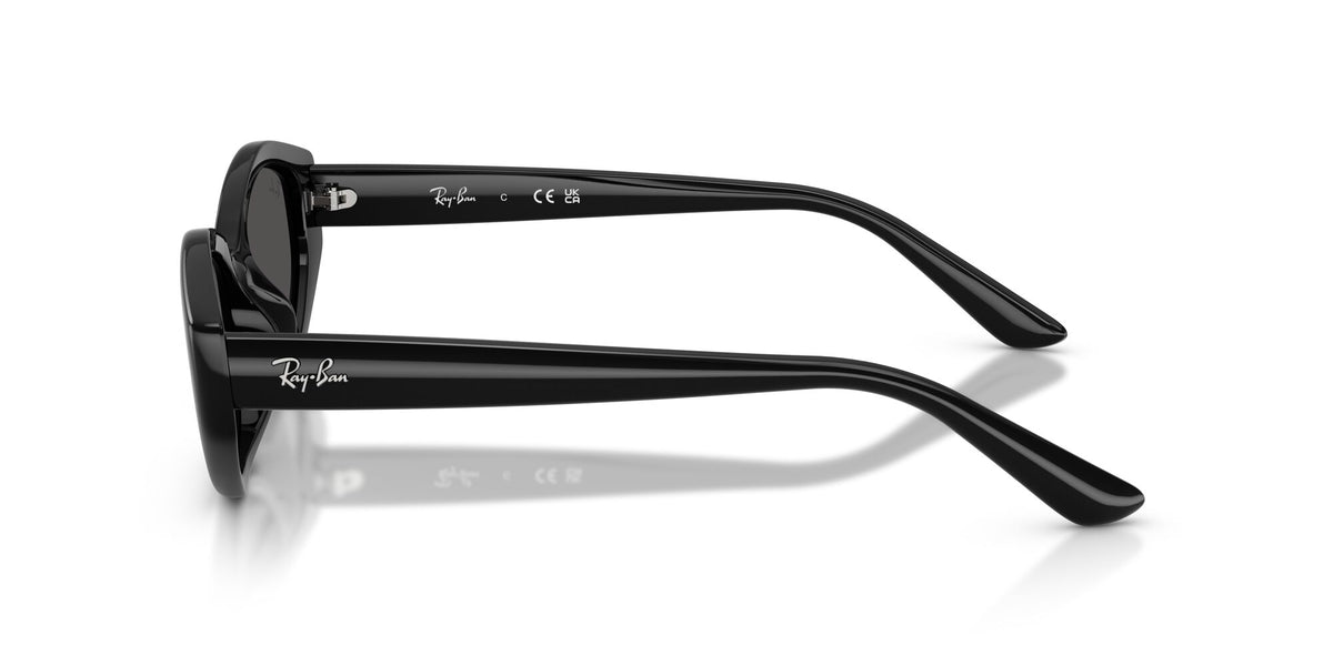 Ray-Ban 0RB4473D66778756 Black/ Dark Grey