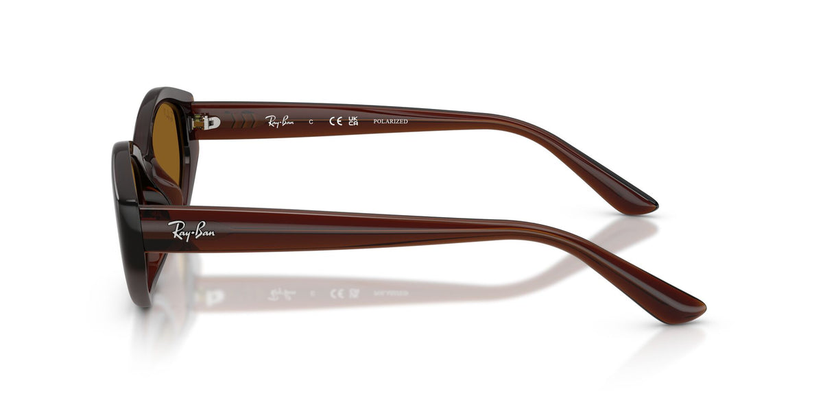 Ray-Ban 0RB4473D7148356 Dark Brown/ Dark Brown Polar