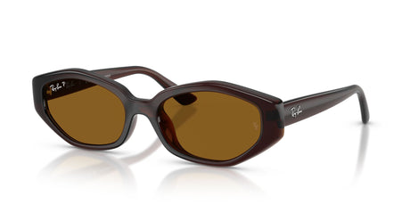 Ray-Ban 0RB4473D7148356 Dark Brown/ Dark Brown Polar