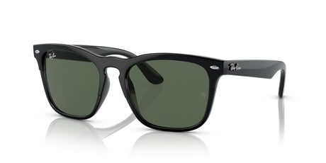 Ray-Ban Steve 0RB4487 662971 54 Black/ Dark Green