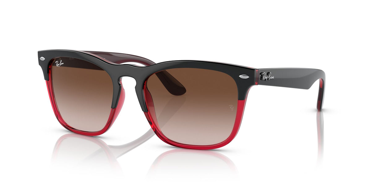 Ray-Ban Steve 0RB4487 663113 54 Grey On Transparent Red/ Brown