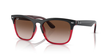 Ray-Ban Steve 0RB4487 663113 54 Grey On Transparent Red/ Brown
