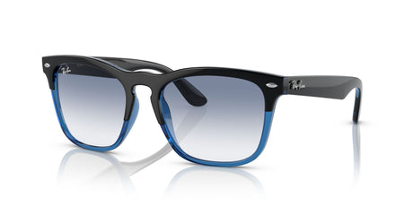 Ray-Ban Steve 0RB4487 663219 54 Black On Blue/ Blue