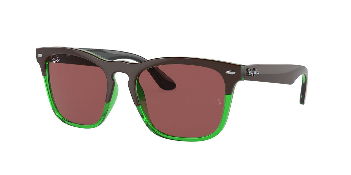 RB 4487F Ray-Ban Steve Dark Brown On Transparent Green / Dark Violet 54 54 / Polyamide Bio / Injected / Molded