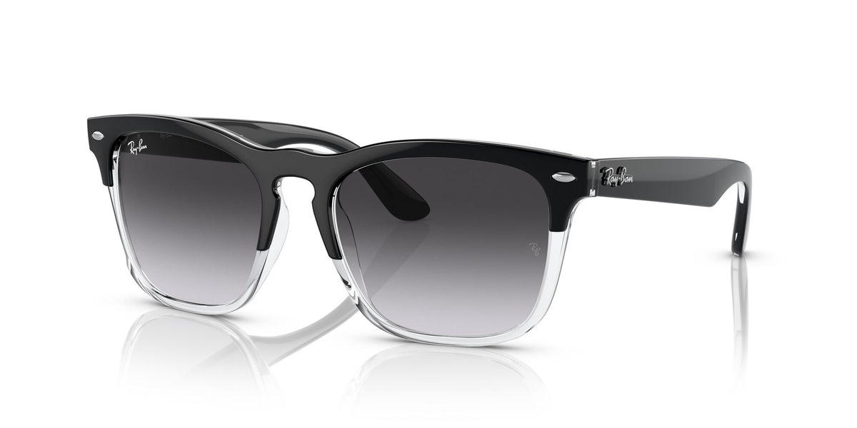 Ray-Ban Steve 0RB4487 66308G 54 Black On Transparent/ Grey