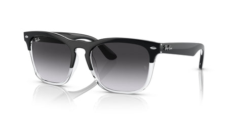 Ray-Ban Steve 0RB4487 66308G 54 Black On Transparent/ Grey