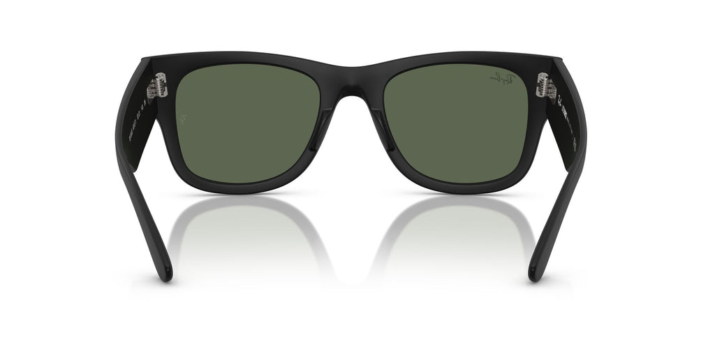 Ray-Ban  0RB4840S 601S71 52 Sand Black/ Dark Green