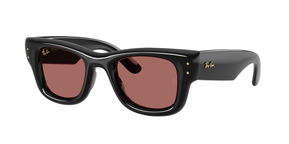 Ray-Ban 0RB49406016947 Black/ Dark Violet