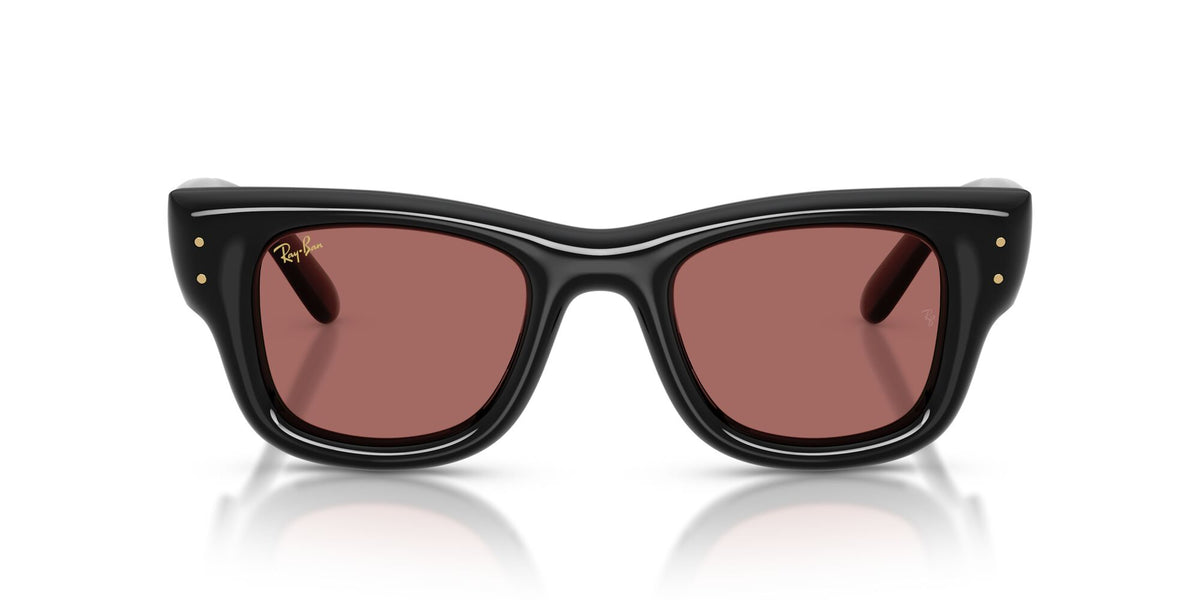 Ray-Ban 0RB49406016947 Black/ Dark Violet