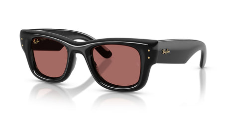 Ray-Ban 0RB49406016947 Black/ Dark Violet