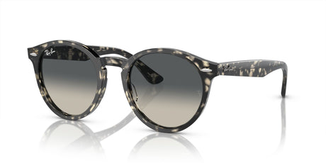 Ray-Ban Larry 0RB7680S 133371 51 Grey Havana/ Grey 51 / Crystal / Acetate / Acetate