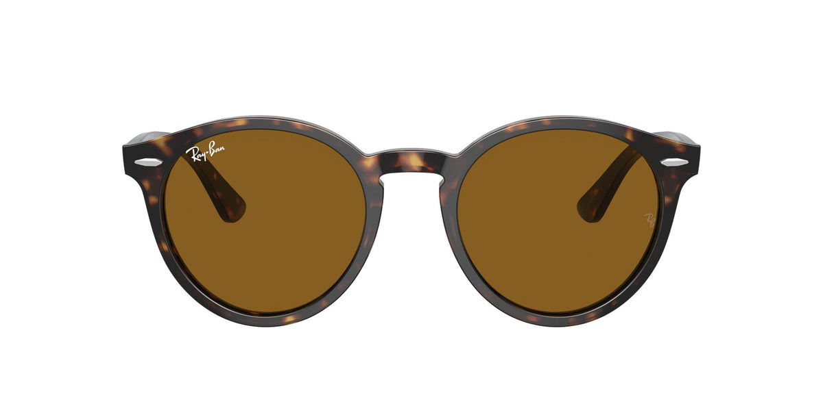 Ray-Ban Larry 0RB7680S 902/33 51 Havana/ Brown 51 / Crystal / Acetate / Acetate