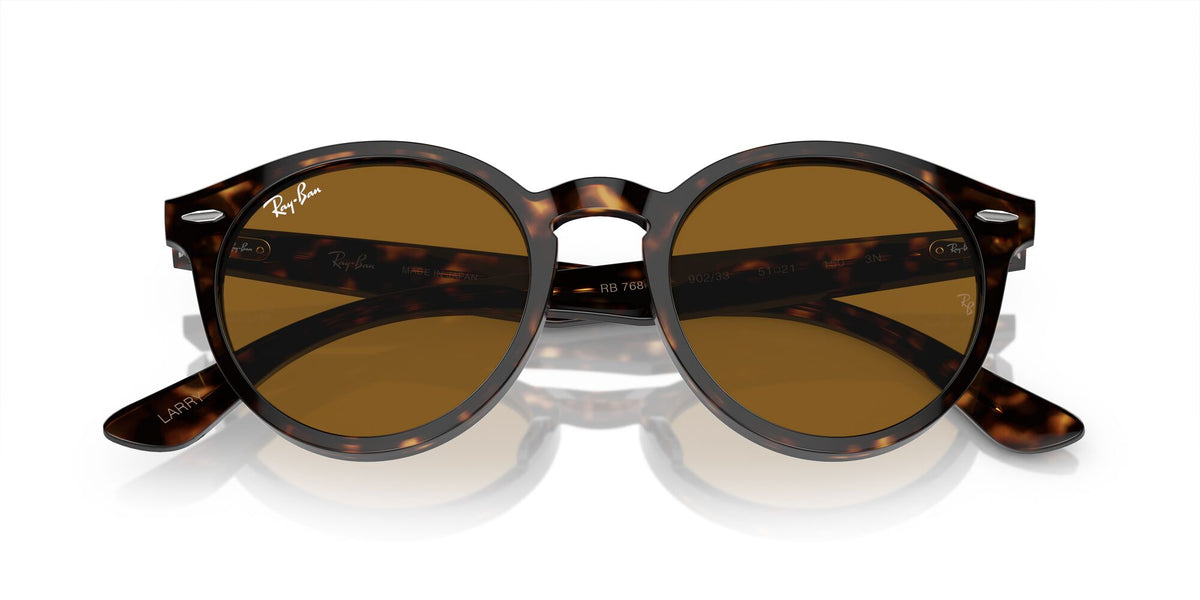 Ray-Ban Larry 0RB7680S 902/33 51 Havana/ Brown 51 / Crystal / Acetate / Acetate