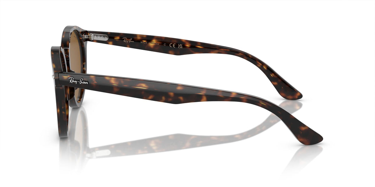 Ray-Ban Larry 0RB7680S 902/33 51 Havana/ Brown 51 / Crystal / Acetate / Acetate