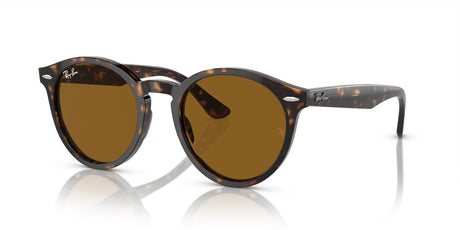 Ray-Ban Larry 0RB7680S 902/33 51 Havana/ Brown 51 / Crystal / Acetate / Acetate
