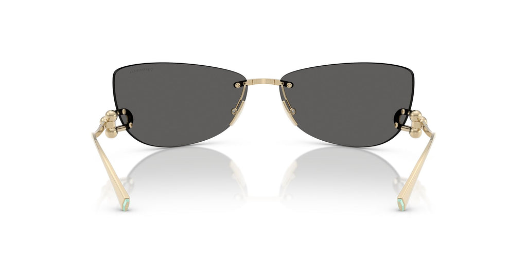 Tiffany 0TF3112K 6220S4 72 Pale Gold Plated / Dark Gray