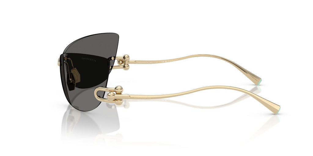 Tiffany 0TF3112K 6220S4 72 Pale Gold Plated / Dark Gray