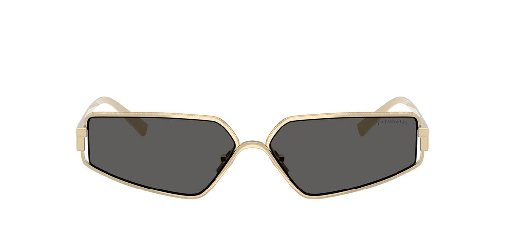 Tiffany 0TF3113KB 6220S4 60 Pale Gold Plated / Dark Grey