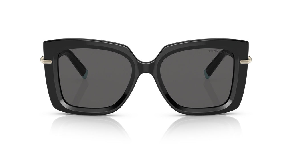 Tiffany 0TF4199 8001S4 53 Black / Dark Grey