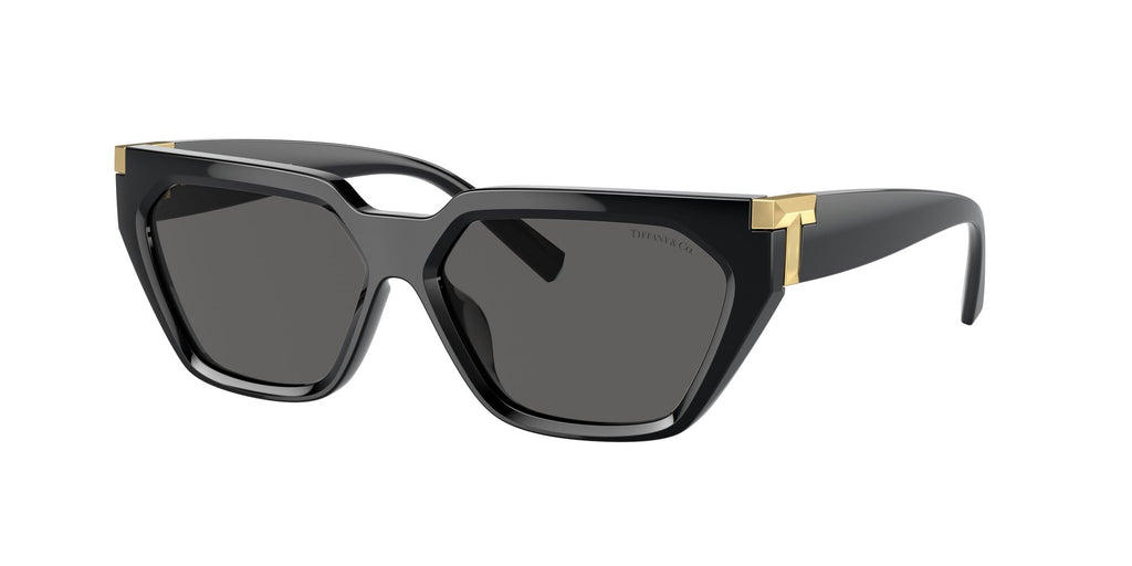 Tiffany 0TF4205U 8001S4 56 Black / Dark Grey