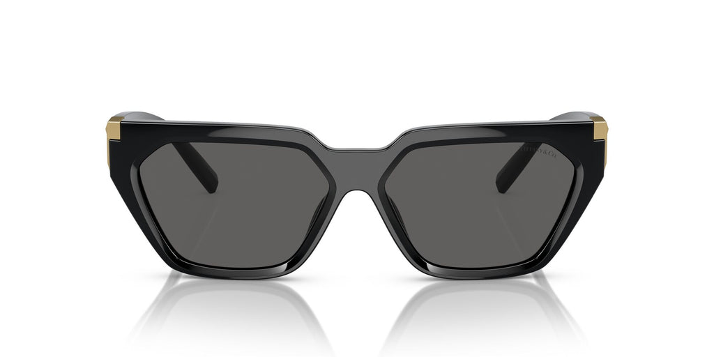 Tiffany 0TF4205U 8001S4 56 Black / Dark Grey