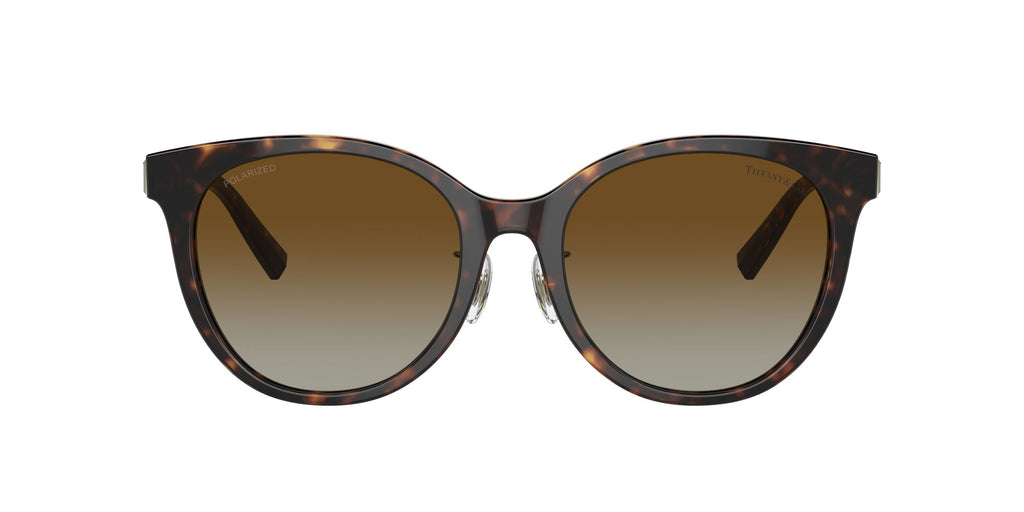 Tiffany 0TF4209D 8015T5 54 Havana / Polar Brown Gradient  Polarised
