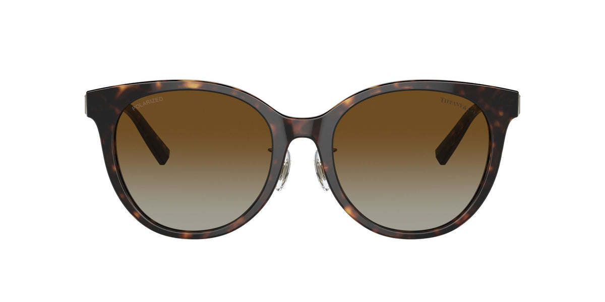 Tiffany 0TF4209D 8015T5 54 Havana / Polar Brown Gradient Polarised