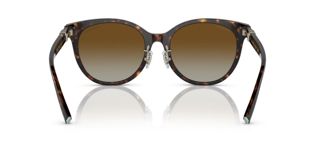 Tiffany 0TF4209D 8015T5 54 Havana / Polar Brown Gradient  Polarised