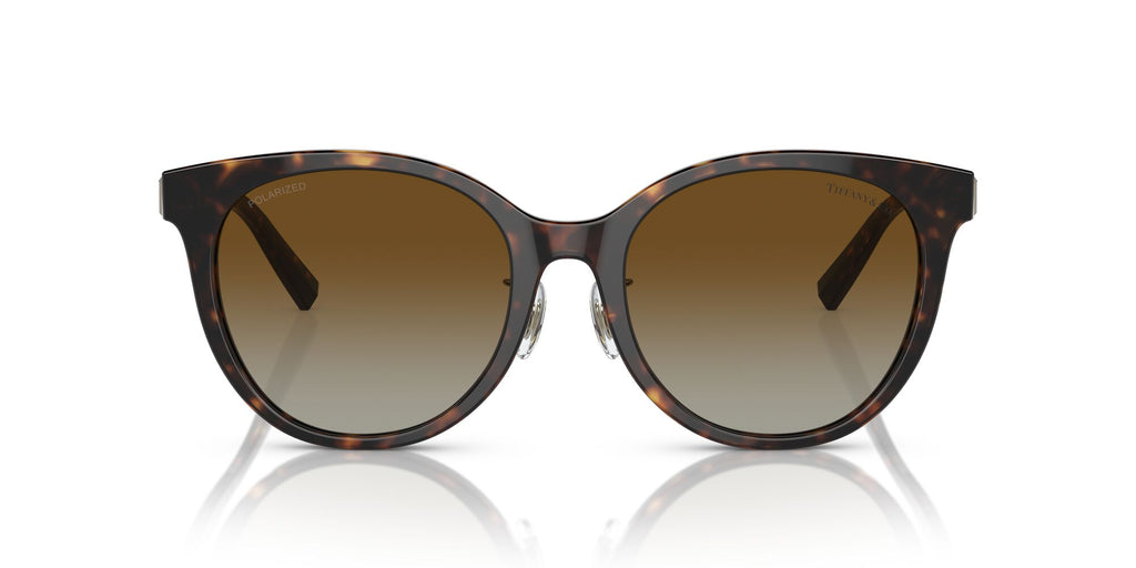 Tiffany 0TF4209D 8015T5 54 Havana / Polar Brown Gradient  Polarised