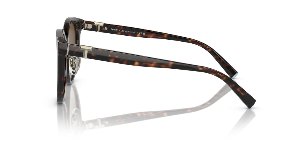 Tiffany 0TF4209D 8015T5 54 Havana / Polar Brown Gradient  Polarised