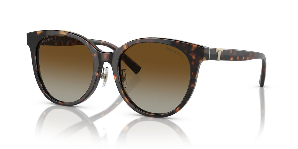 Tiffany 0TF4209D 8015T5 54 Havana / Polar Brown Gradient  Polarised