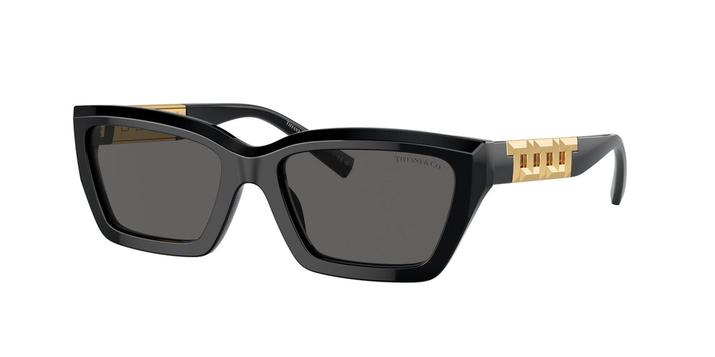 Tiffany 0TF4213 8001S4 54 Black / Dark Grey