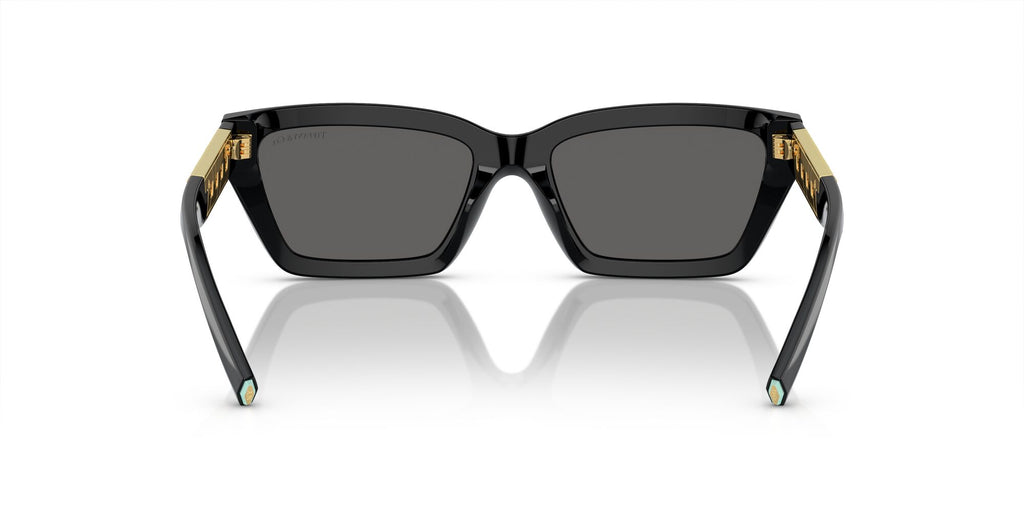Tiffany 0TF4213 8001S4 54 Black / Dark Grey
