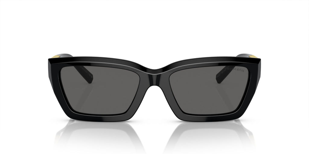 Tiffany 0TF4213 8001S4 54 Black / Dark Grey