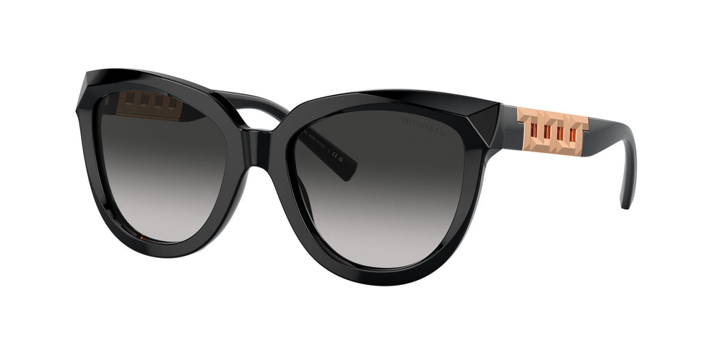 Tiffany 0TF4215F 80013C 53 Black / Grey Gradient 53 / Polyamide Bio / Acetate / Injected