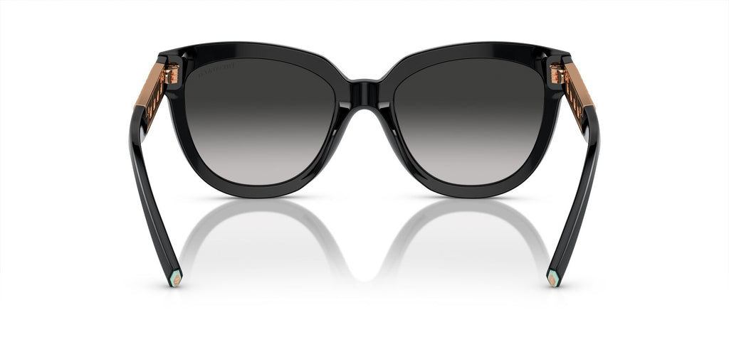 Tiffany 0TF4215F 80013C 53 Black / Grey Gradient 53 / Polyamide Bio / Acetate / Injected