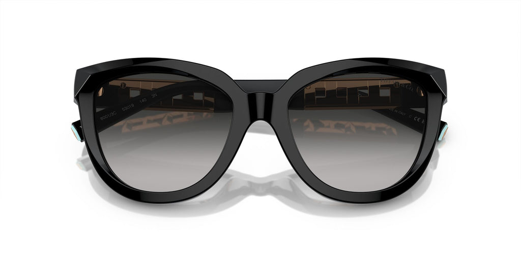 Tiffany 0TF4215F 80013C 53 Black / Grey Gradient 53 / Polyamide Bio / Acetate / Injected