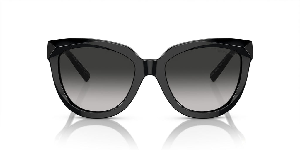 Tiffany 0TF4215F 80013C 53 Black / Grey Gradient 53 / Polyamide Bio / Acetate / Injected