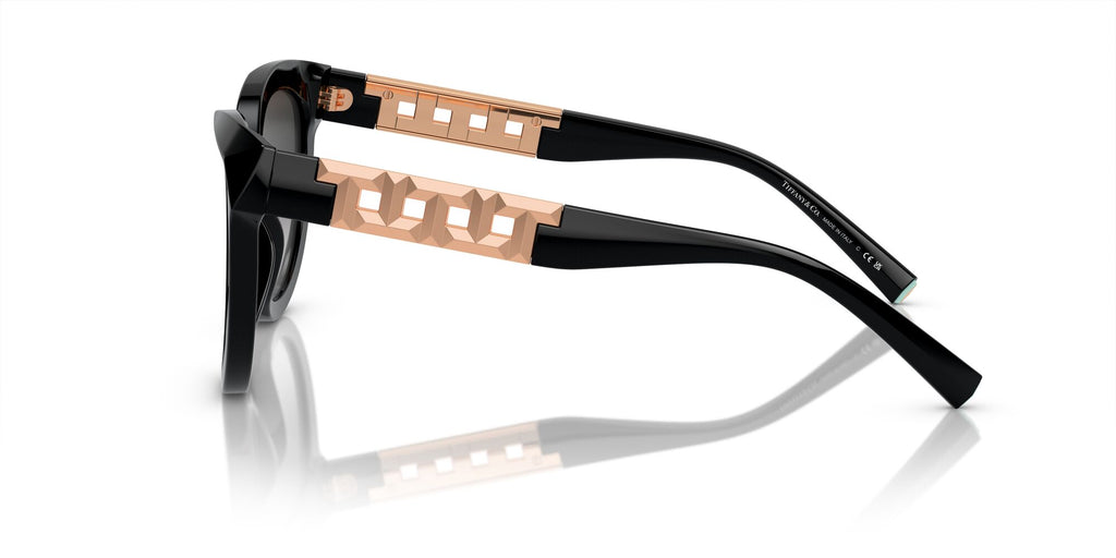 Tiffany 0TF4215F 80013C 53 Black / Grey Gradient 53 / Polyamide Bio / Acetate / Injected