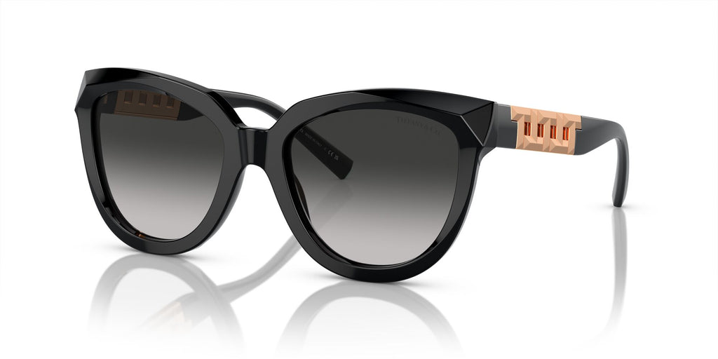 Tiffany 0TF4215F 80013C 53 Black / Grey Gradient 53 / Polyamide Bio / Acetate / Injected